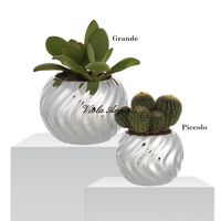 Piantine grasse in vaso a torciglione