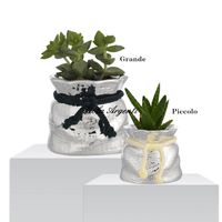Piantine grasse in vaso a sacco