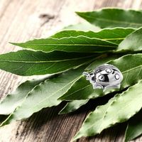 Silver ladybug