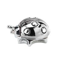 Silver ladybug