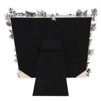 Grapes frame