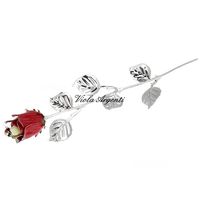 Red rose with fragrant bud