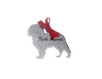 Cavalier King Dog