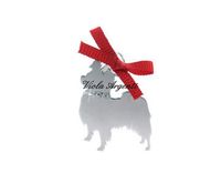 Volpino Dog