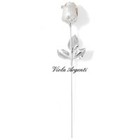 Rosa profumatore - 3