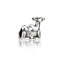 Camel charm