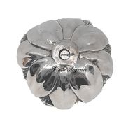 Silver broccoli