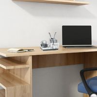Globe desk set
