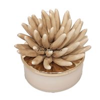 Ivory coral candle