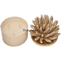 Ivory coral candle