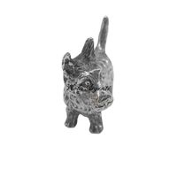 Silver Fox Terrier - 3