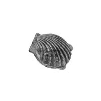 Small shell-shaped box - 3