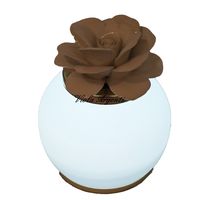 White May pink lamp