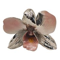 Orchidea vera argentata rosa