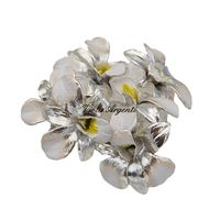  Mini silver orchid - 4