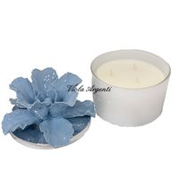Anemone powder blue candle