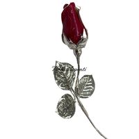 Rosa rossa