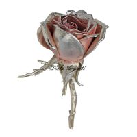 Rosa media madreperla e rosa