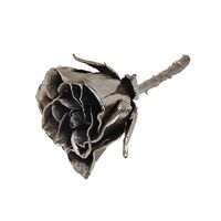 Rosa naturale argento anticato