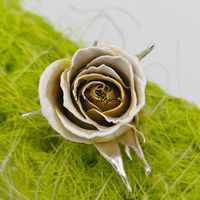 Rosa piccola bianco gialla