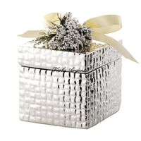 Silver box with squares