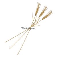Spiga grano argento dorato