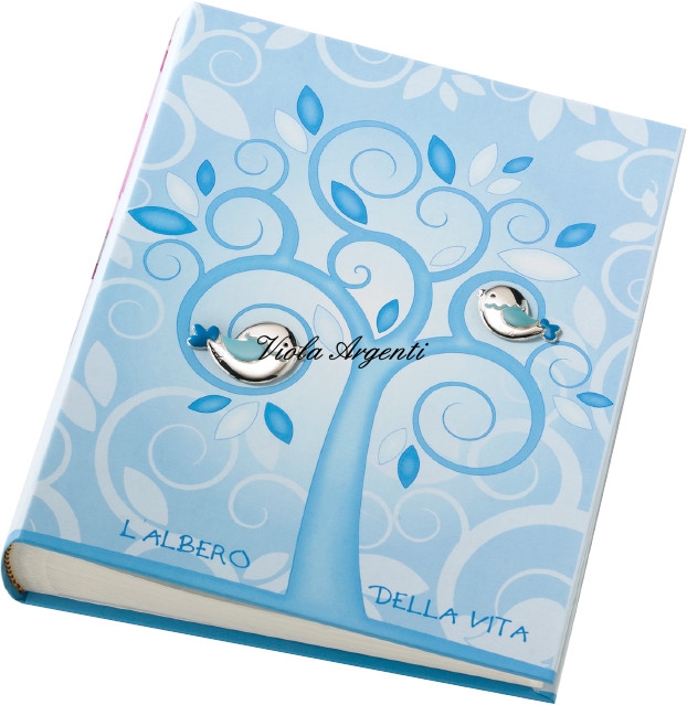 Baby boy album and diary