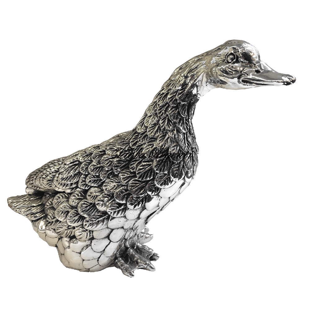 Duck looks to the side