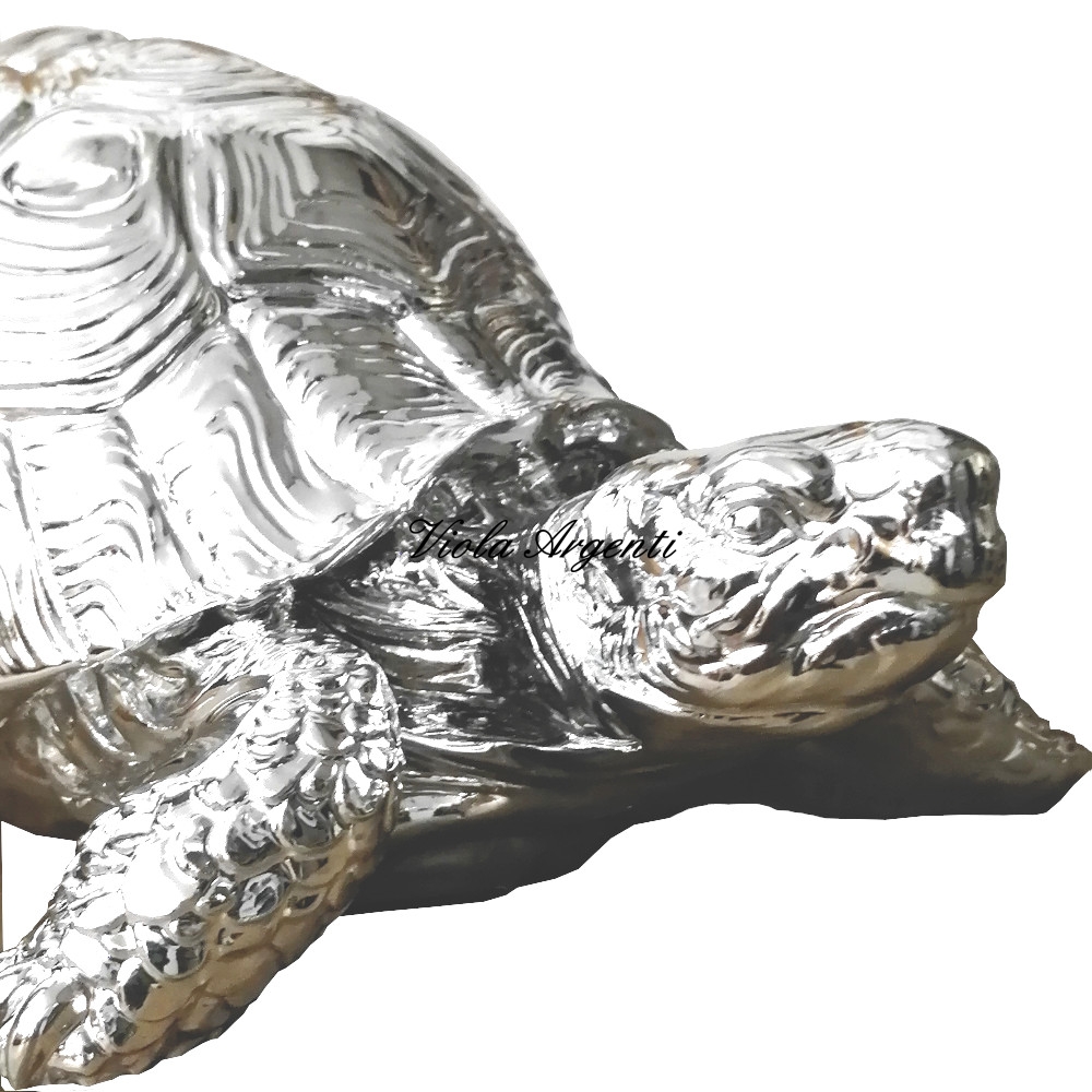 Turtle - 3