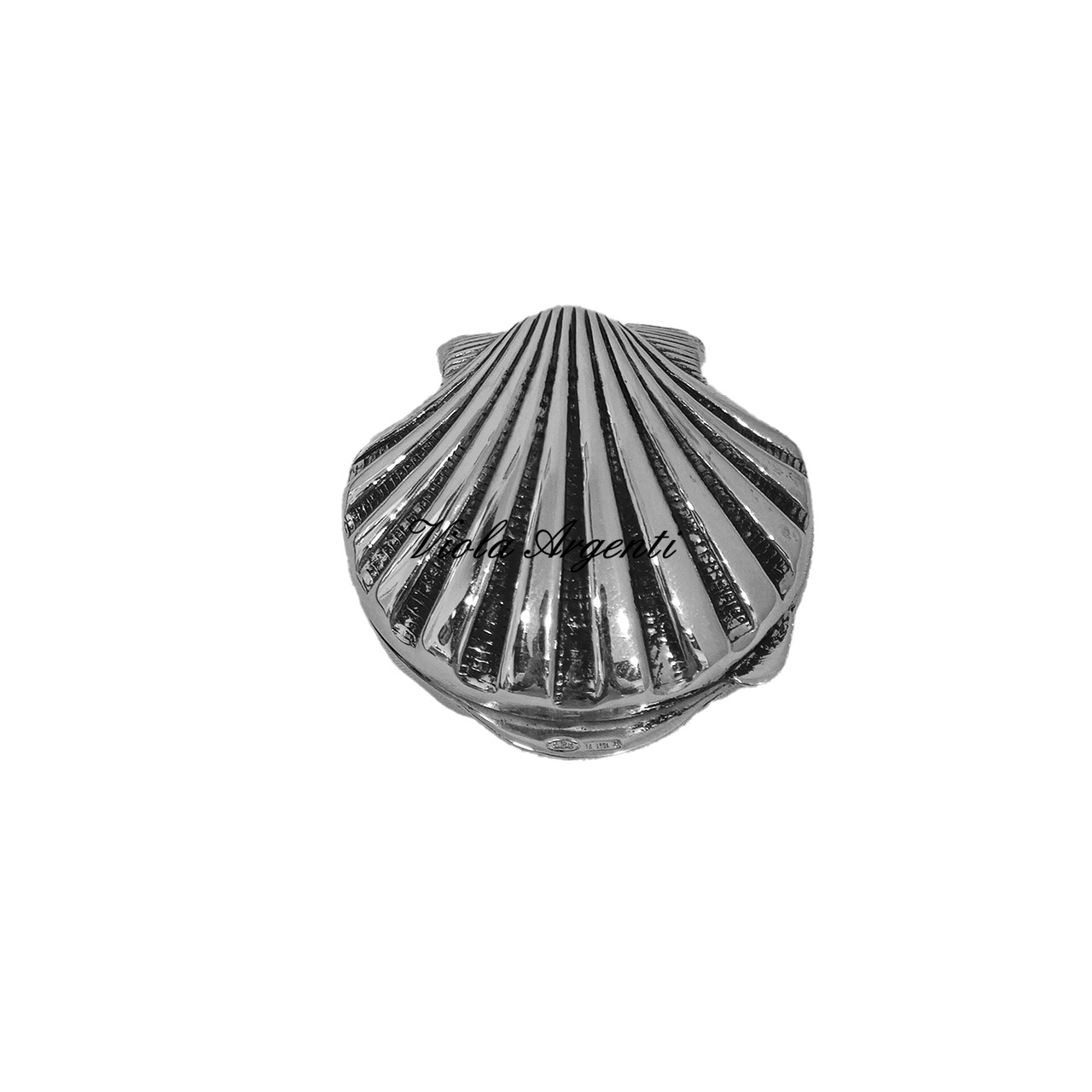 Shell-shaped box