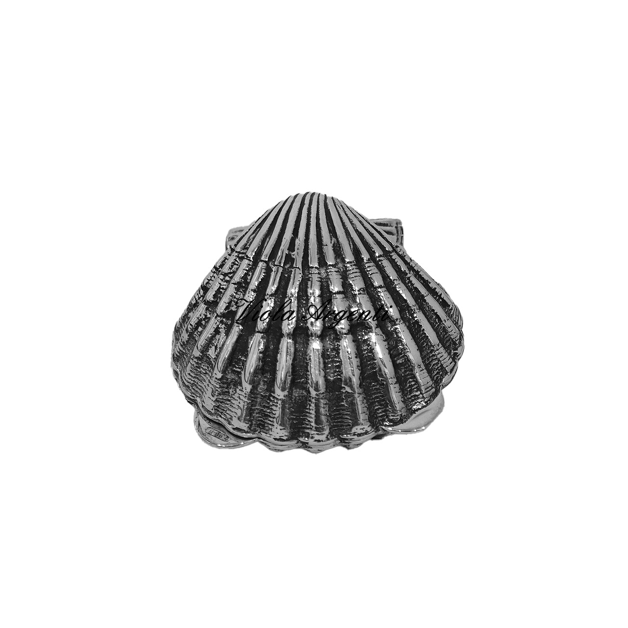 Small shell-shaped box