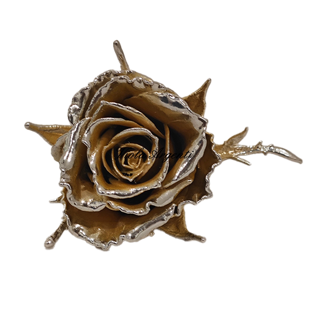 Rosa naturale argentata color oro