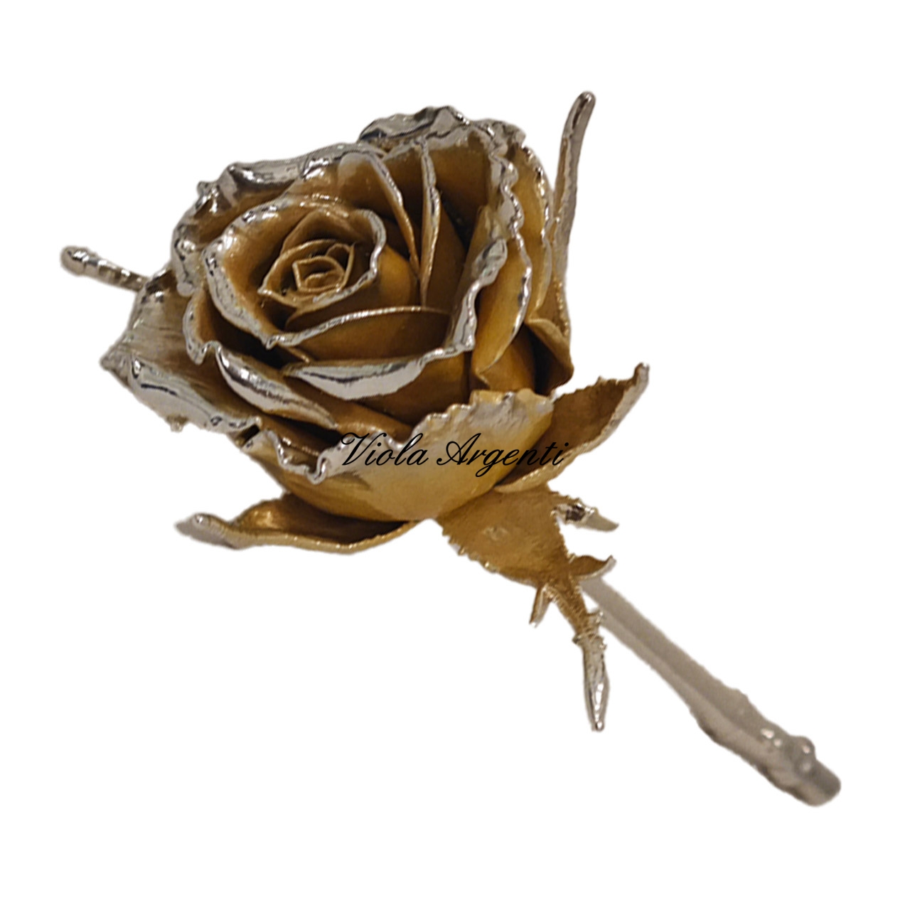 Rosa naturale argentata color oro